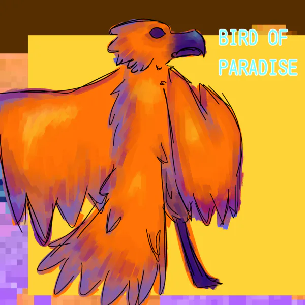 Photo of Bird of Paradise